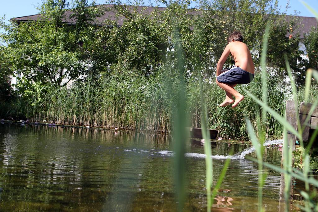 Perbersdorfer Heuriger Hotell Neuhofen an der Ybbs Exteriör bild